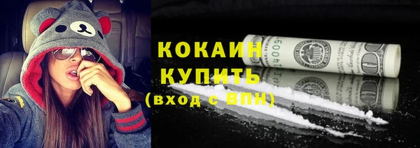 твердый Ельня