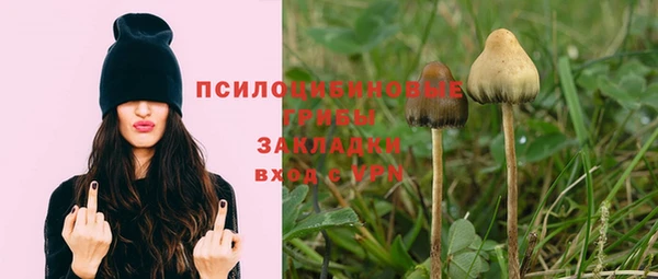твердый Ельня