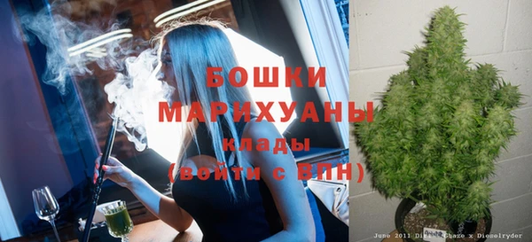 твердый Ельня