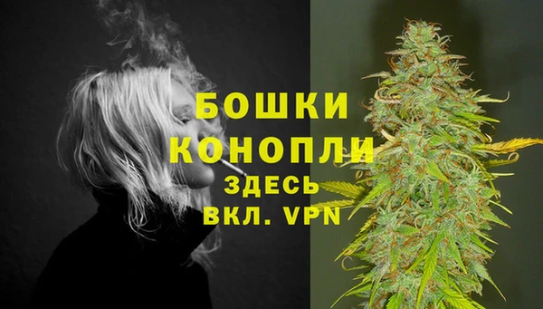 спайс Елизово