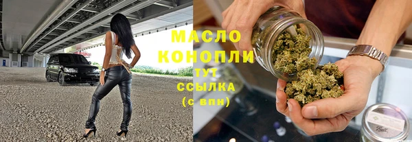 твердый Ельня