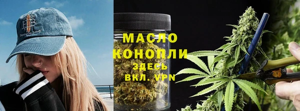 твердый Ельня