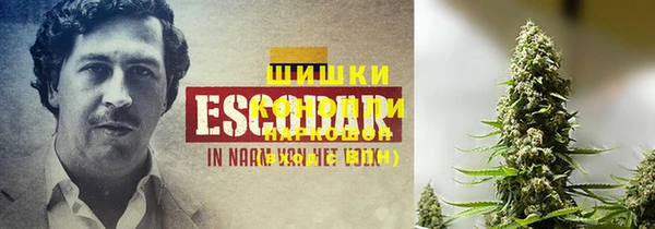 твердый Ельня