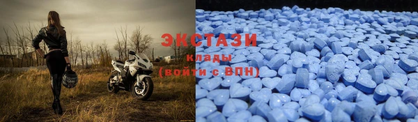 твердый Ельня