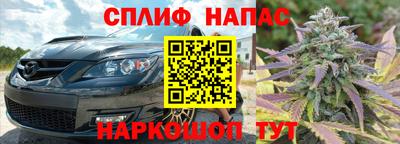 прущие грибы Славгород