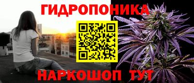 прущие грибы Славгород