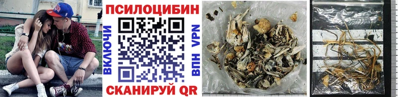 Псилоцибиновые грибы Magic Shrooms  Югорск 