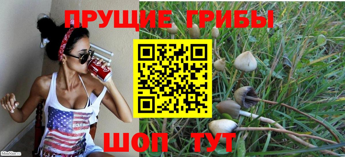 Галлюциногенные грибы Magic Shrooms Югорск