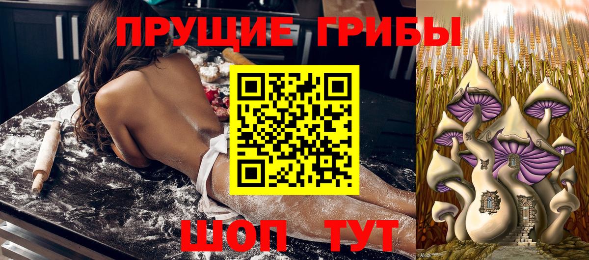 Югорск  Псилоцибиновые грибы Cubensis  Псилоцибиновые грибы Psilocybine cubensis  Вход с VPN 